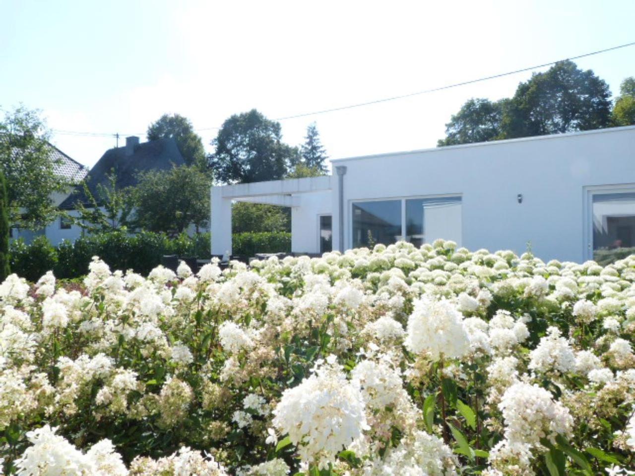 Villa Mosel Morbach Exterior photo